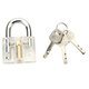 Disc Type Padlock with Disc Detainer Lock Pick Bump Key Tool Locksmith Training Skill Tools Set