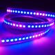 5M WS2812B 5050 RGB Non-Waterproof 300 LED Strip Light Dream Color Changing Individual Addressable DC 5V