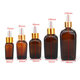 5Pcs Amber Glass Liquid Pipette Perfume Bottles Essential Oil Toner Bottle Reusable Bottle