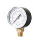 TS-Y504-15/30/60/100/160/300psi 52mm Dial 1/4 BPressure Gauge TS-Y504-15/30/60/100/160/300psi 52mm Dial 1/4 BPressure Gauge