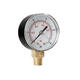 TS-Y504-15/30/60/100/160/300psi 52mm Dial 1/4 BPressure Gauge