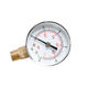 TS-Y504-15/30/60/100/160/300psi 52mm Dial 1/4 BPressure Gauge