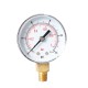 TS-Y508-15/30/60/100/160/300psi 52mm Dial 1/8 BPressure Gauge