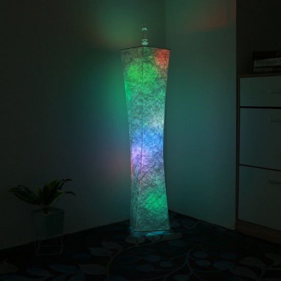 12V LED Floor Lamp Remote Control RGB Color Changing 58inch Height Bulbs for Livingroomish