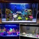 15CM/25.5CM/35.5CM/45.5CM/55.5CM Waterproof LED Fishes Tank Light RGB Aquarium Lights Multicolor Submersible Lamp