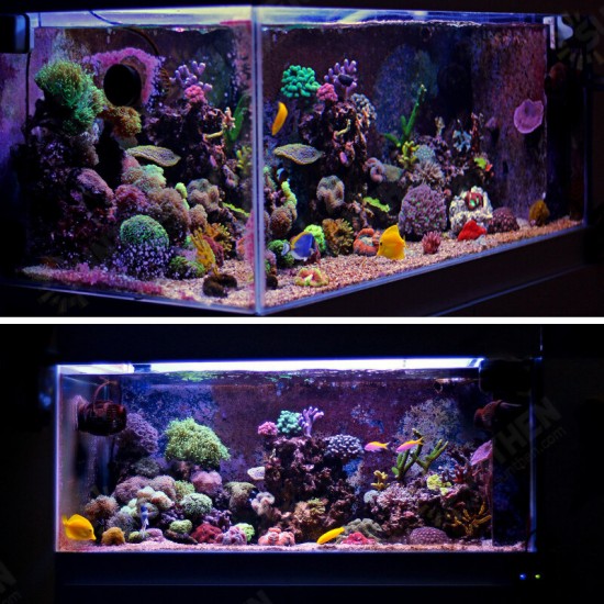 32CM 24LED RGB Aquarium Fish Tank Light 2 Modes Double Drainage Water Grass Lamp 32CM 24LED RGB Aquarium Fish Tank Light 2 Modes Double Drainage Water Grass Lamp