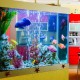 32CM 24LED RGB Aquarium Fish Tank Light 2 Modes Double Drainage Water Grass Lamp 32CM 24LED RGB Aquarium Fish Tank Light 2 Modes Double Drainage Water Grass Lamp