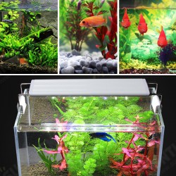 3/5/7/9W 220V US Plug Fish Tank Lamp LED Energy-Saving Blue+White Light Line Switch 3/5/7/9W 220V US Plug Fish Tank Lamp LED Energy-Saving Blue+White Light Line Switch