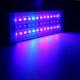 A201M 12W 20CM 5730 36SMD 1400LM LED Coral SPS LPS Aquarium Sea Reef Fish Tank Light Lamp