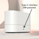 Creative Simulation Flame LED Night Light 3D Flame Aromatherapy Diffuser for Living Room Bedroom USB Rechargeable