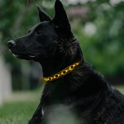 LED Dog Pet Collar Flashing Luminous Safety Night Light Flashing Adjustable LED Dog Pet Collar Flashing Luminous Safety Night Light Flashing Adjustable