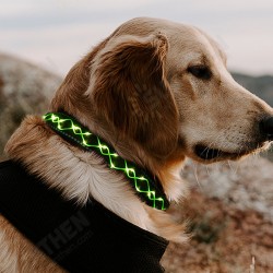 LED Dog Pet Collar Flashing Luminous Safety Night Light Flashing Adjustable LED Dog Pet Collar Flashing Luminous Safety Night Light Flashing Adjustable