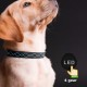 LED Dog Pet Collar Flashing Luminous Safety Night Light Flashing Adjustable