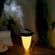 Portable USB Mini Moonlight Cup Humidifier Air Light Face Diffuser Fresher Mist Maker