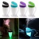 Portable USB Mini Moonlight Cup Humidifier Air Light Face Diffuser Fresher Mist Maker