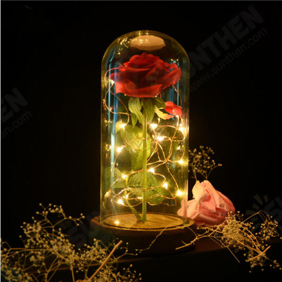 Red Rose Lights Decorations Beauty Enchanted Preserved Red Fresh Rose Glass Cover with LED Light