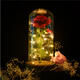 Red Rose Lights Decorations Beauty Enchanted Preserved Red Fresh Rose Glass Cover with LED Light