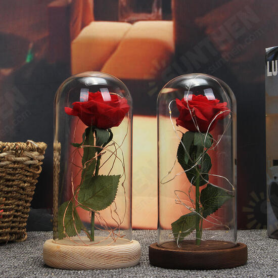 Red Rose Lights Decorations Beauty Enchanted Preserved Red Fresh Rose Glass Cover with LED Light