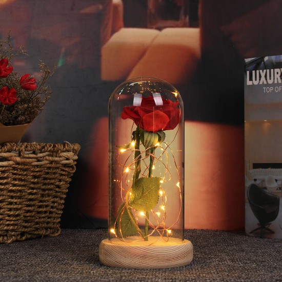 Red Rose Lights Decorations Beauty Enchanted Preserved Red Fresh Rose Glass Cover with LED Light