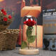 Red Rose Lights Decorations Beauty Enchanted Preserved Red Fresh Rose Glass Cover with LED Light