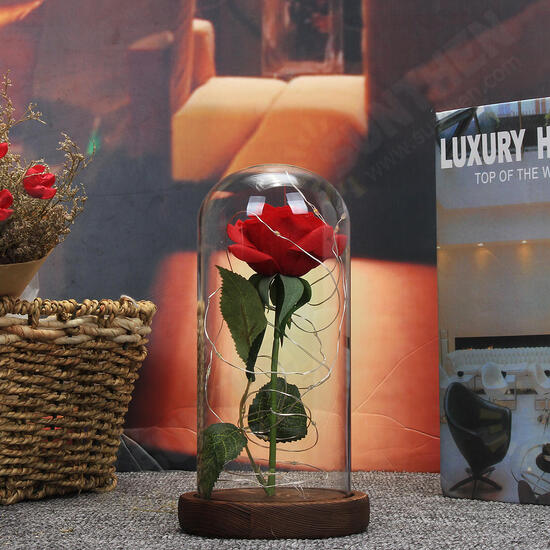 Red Rose Lights Decorations Beauty Enchanted Preserved Red Fresh Rose Glass Cover with LED Light