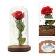 Red Rose Lights Decorations Beauty Enchanted Preserved Red Fresh Rose Glass Cover with LED Light