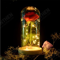 Red Rose Lights Decorations Beauty Enchanted Preserved Red Fresh Rose Glass Cover with LED Light Red Rose Lights Decorations Beauty Enchanted Preserved Red Fresh Rose Glass Cover with LED Light