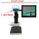 Full HD 1080P 60FPS 2K 38MP HDMI USB Industrial Electronic Digital Video Microscope Camera for Phone CPU PCB Repair