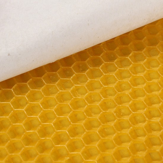 30Pcs Beehive Brood Box Wired Wax Foundation Honeycomb Sheets Beekeeping Tools