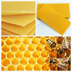 30Pcs Beehive Brood Box Wired Wax Foundation Honeycomb Sheets Beekeeping Tools 30Pcs Beehive Brood Box Wired Wax Foundation Honeycomb Sheets Beekeeping Tools