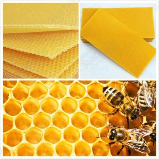 30Pcs Beehive Brood Box Wired Wax Foundation Honeycomb Sheets Beekeeping Tools