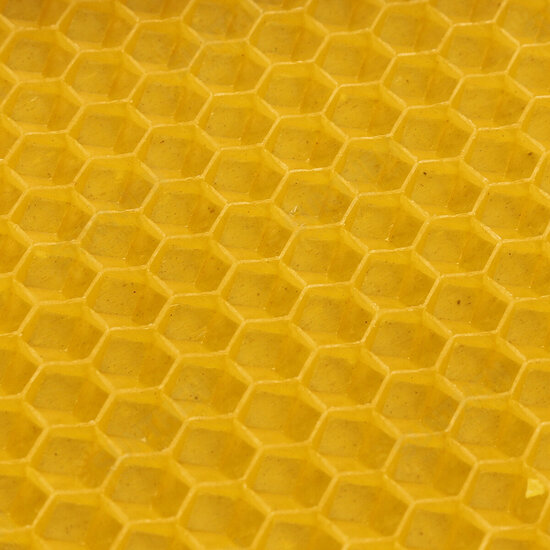 30Pcs Beehive Brood Box Wired Wax Foundation Honeycomb Sheets Beekeeping Tools 30Pcs Beehive Brood Box Wired Wax Foundation Honeycomb Sheets Beekeeping Tools