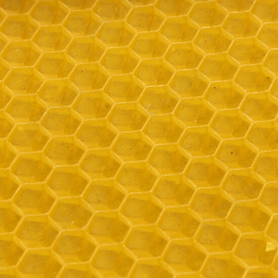 30Pcs Beehive Brood Box Wired Wax Foundation Honeycomb Sheets Beekeeping Tools