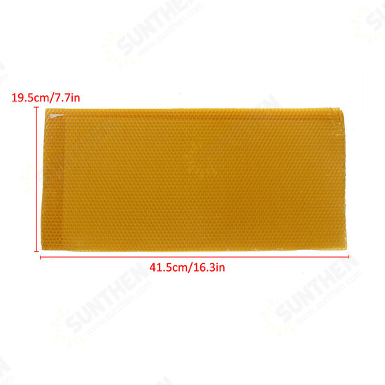 30Pcs Beehive Brood Box Wired Wax Foundation Honeycomb Sheets Beekeeping Tools