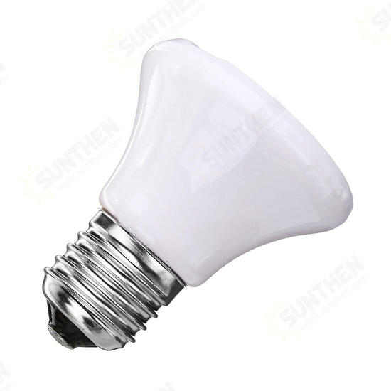 AC110 AC220V 100W E27 Infrared Ceramic Emitter Heat Reptile Pet Light Bulb With Lampholder Switch