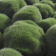 Artificial Topiary Hedges Panels Plastic Faux Shrubs Fence Mat Greenery Wall Backdrop Decor Garden Privacy Screen Fence