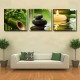 3Pcs Canvas Print Paintings Wall Decorative Print Art Pictures Framed/Frameless Wall Hanging Decorations for Home Office