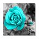 Blue Rose Canvas Painting Wall Decorative Print Art Pictures Unframed Wall Hanging Home Office Wall Decorations