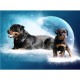 DIY 5D Full Drill Diamond Painting Dog Diamond Embroidery Cross Stitch Full Round Drill Creative Gift Home Furnish