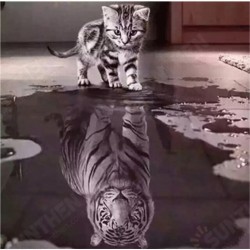 DIY Diamond Painting Cat Tiger Animal Hanging Pictures Handmade Wall Decorations Gifts Drawing for Kids Adult DIY Diamond Painting Cat Tiger Animal Hanging Pictures Handmade Wall Decorations Gifts Drawing for Kids Adult