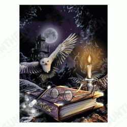 DIY Diamond Painting Owl Home Decoration Full Drill Embroidery Rhinestone Picture Handcraft Kit Wall Decorations Gifts for Kids Adult DIY Diamond Painting Owl Home Decoration Full Drill Embroidery Rhinestone Picture Handcraft Kit Wall Decorations Gifts for Kids Adult