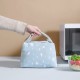 Outdoor Portable Insulated Food Lunch Box Storage Bag