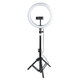 10 Inch Dimmable LED Ring Light Photo Selfie Fill Light with Tripod Adjustable Phone Holder Tripod Head for Makeup Live Broadcast Video Shooting