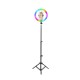 10 inch 3000K-6500K LED RGB Ring Light With Remote Control Tripod Portable USB Ring Light Lamp for Vlogging TikTok Youtube Video Beauty Makeup