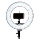 12 Inch Dimmable LED Video Ring Light with Diffuser Tripod Stand Holder for Youtube Tik Tok Live Streaming 12 Inch Dimmable LED Video Ring Light with Diffuser Tripod Stand Holder for Youtube Tik Tok Live Streaming