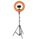 12 Inch Dimmable LED Video Ring Light with Diffuser Tripod Stand Holder for Youtube Tik Tok Live Streaming 12 Inch Dimmable LED Video Ring Light with Diffuser Tripod Stand Holder for Youtube Tik Tok Live Streaming