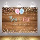 150x100CM 210x150CM 250x180CM Spray Painted Vinyl Boy Girl Gender Reveal Photography Backdrop Party Background Decoration