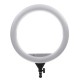 18 inch LED Ring Fill Light with Phone Clip 6500K Dimmable for Camera Makeup Selfie