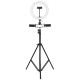 26cm LED Ring Light 3 Color 10 Brightness Dimmable Fill Light with Tripod Stand Dual Phone Clip for Youtube Live Stream Tiktok Broadcast 26cm LED Ring Light 3 Color 10 Brightness Dimmable Fill Light with Tripod Stand Dual Phone Clip for Youtube Live Stream Tiktok Broadcast
