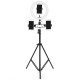 26cm LED Ring Light 3 Color 10 Brightness Dimmable Fill Light with Tripod Stand Dual Phone Clip for Youtube Live Stream Tiktok Broadcast